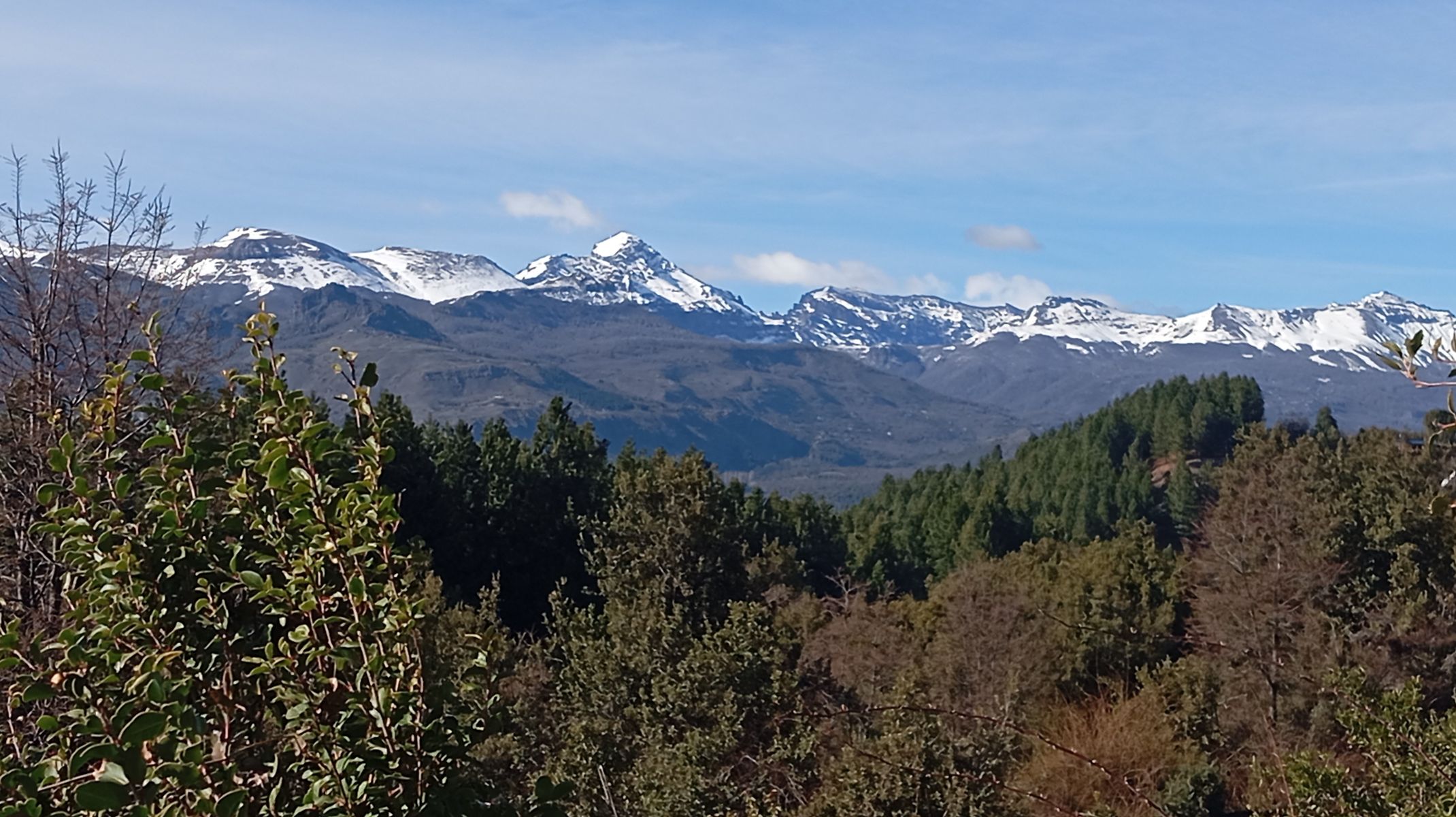 Se Vende Terreno de 855m2 en barrio Caleuche