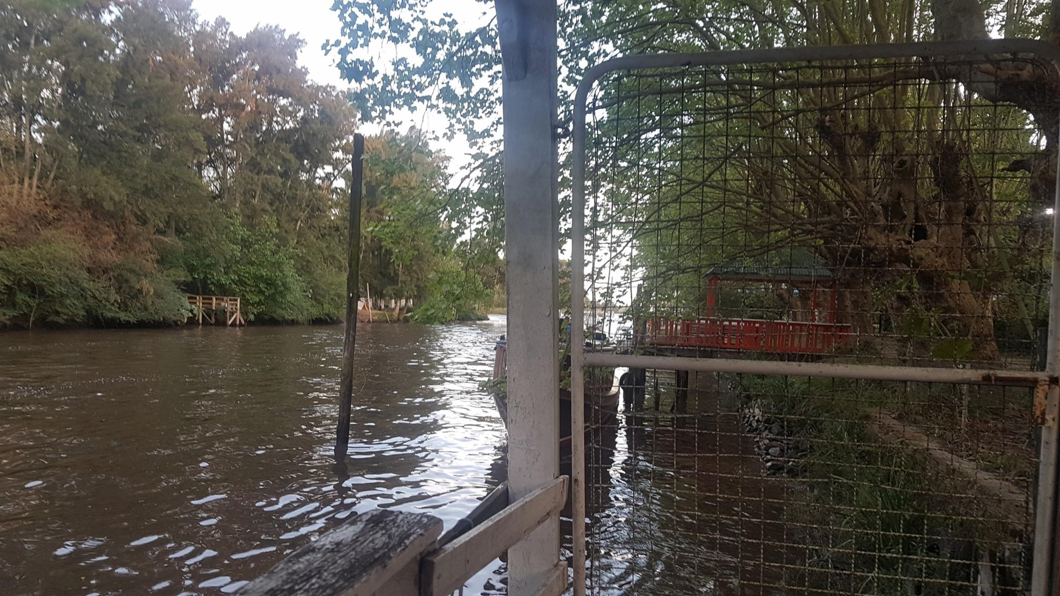 Río Luján · Tigre — foto 5