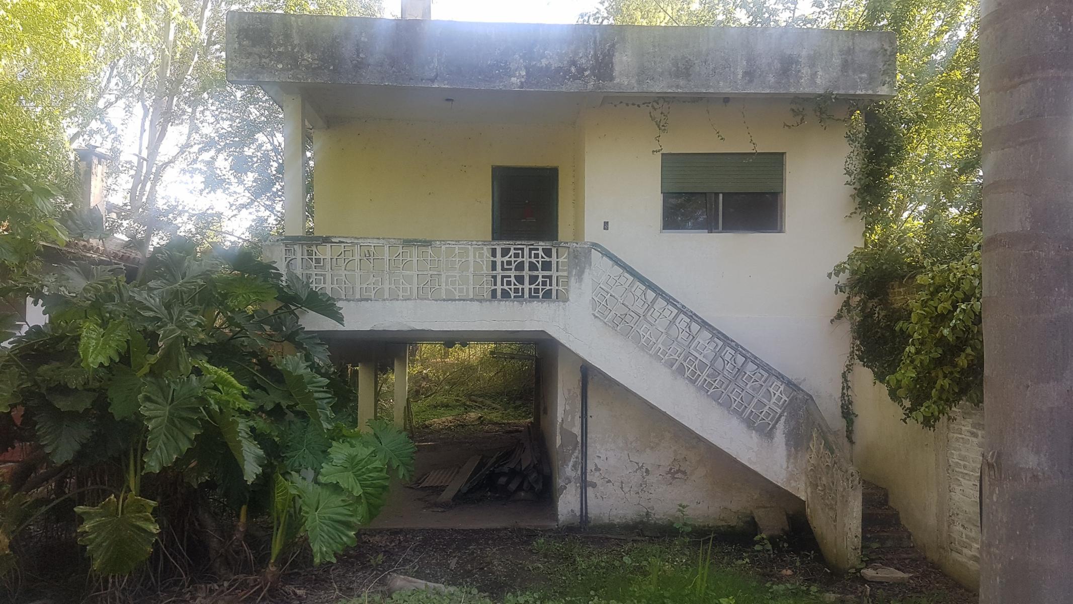 Río Luján · Tigre — foto 8
