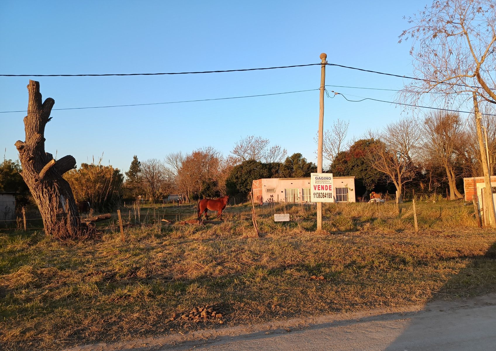 Avenida II · Punta Indio — foto 4