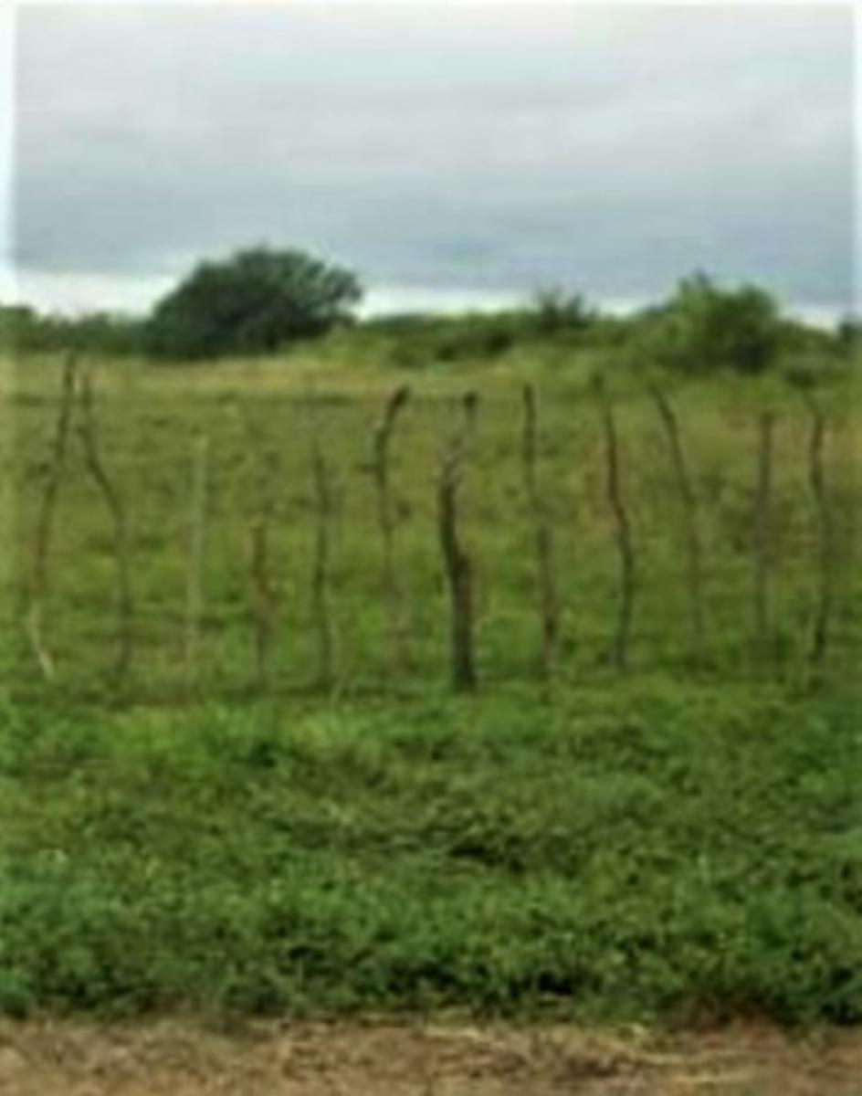 VENDO CAMPO SANTIAGO DEL ESTERO-CHILCA JULIANA
