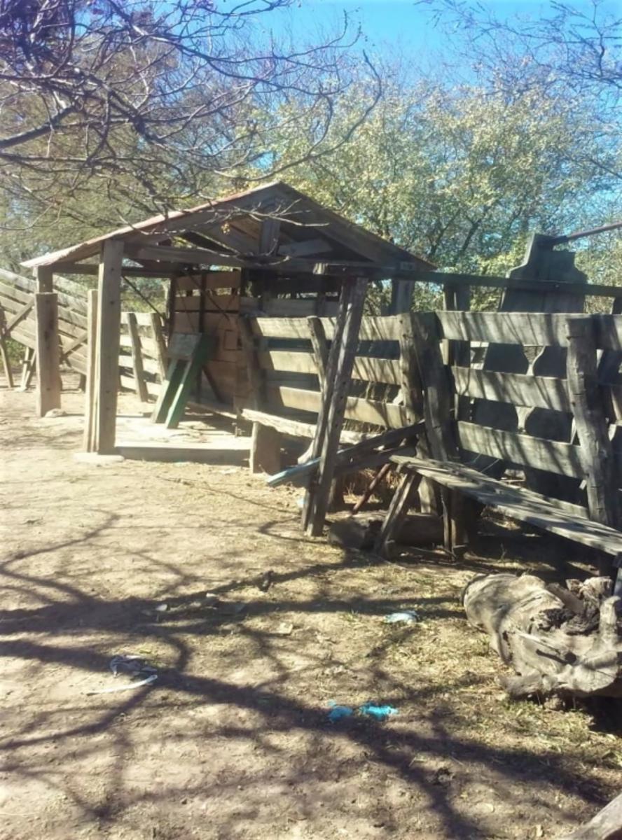 RP 1, Chilca Juliana · Salavina — foto 12