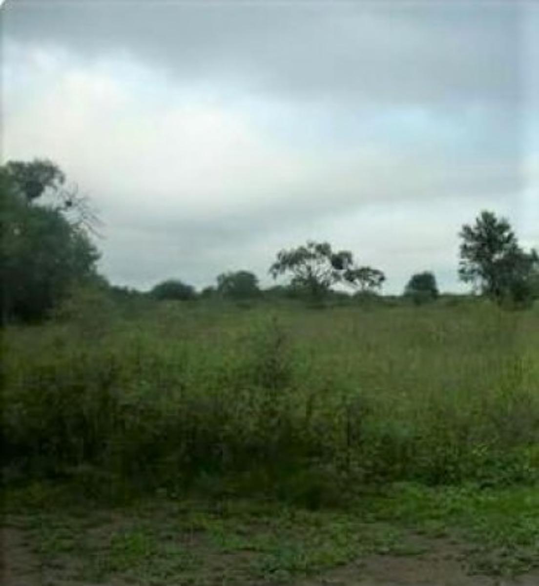 RP 1, Chilca Juliana · Salavina — foto 3