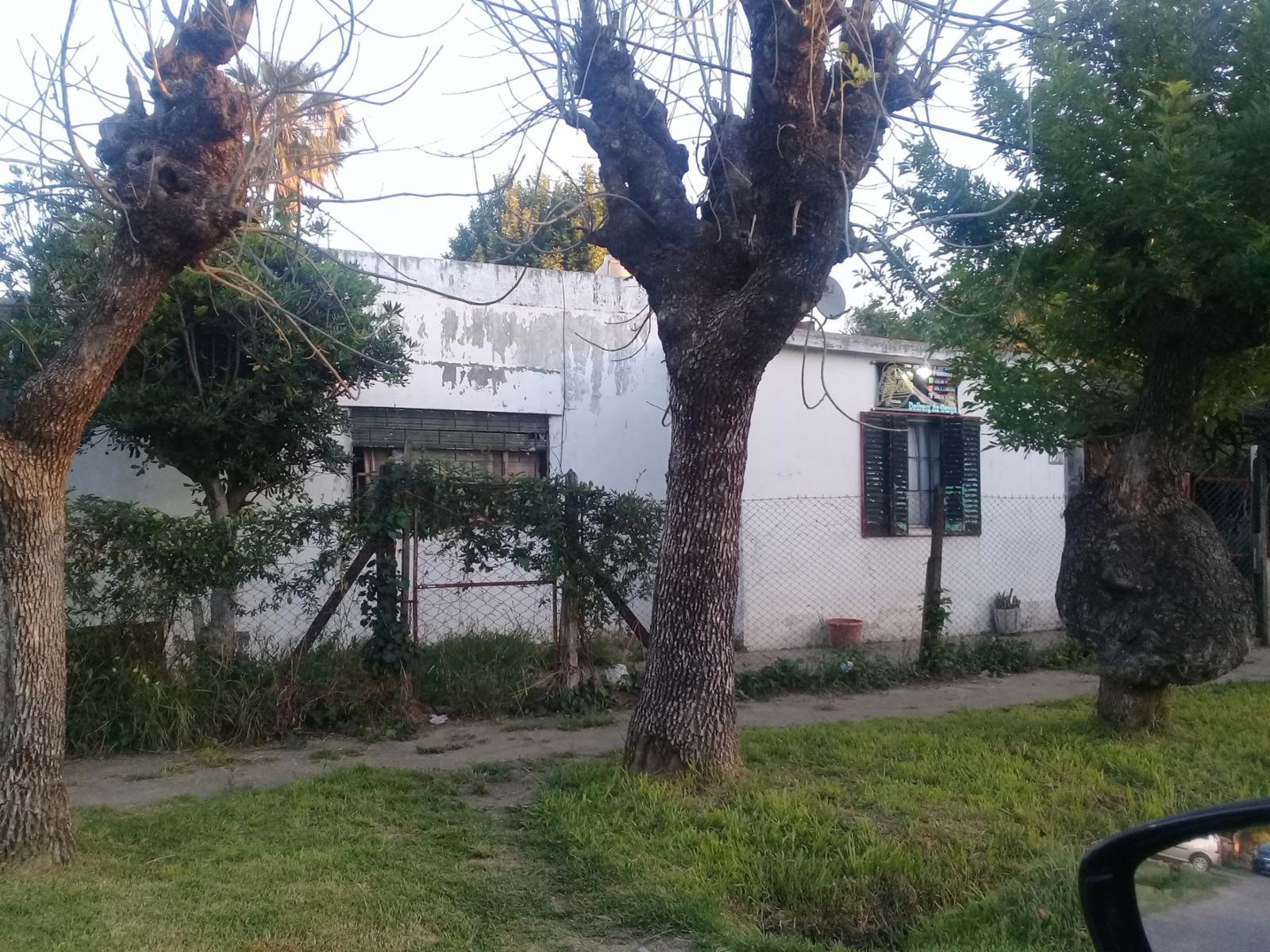 COSQUIN AL 2000 · Ituzaingó — foto 3