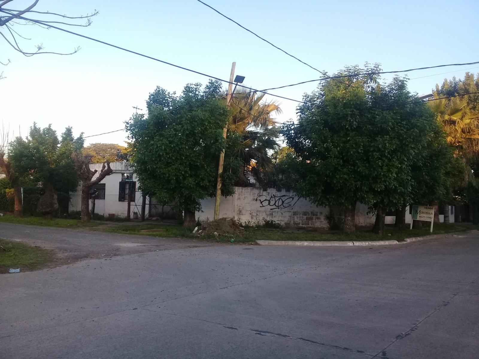 COSQUIN AL 2000 · Ituzaingó — foto 5