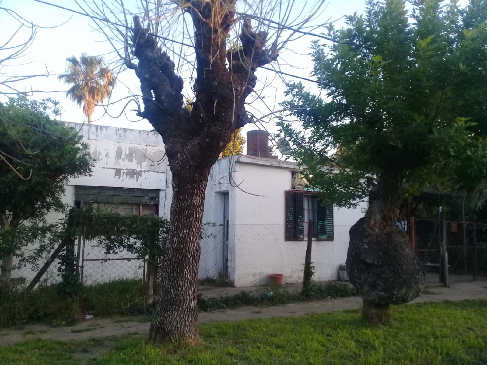 COSQUIN AL 2000 · Ituzaingó — foto 7