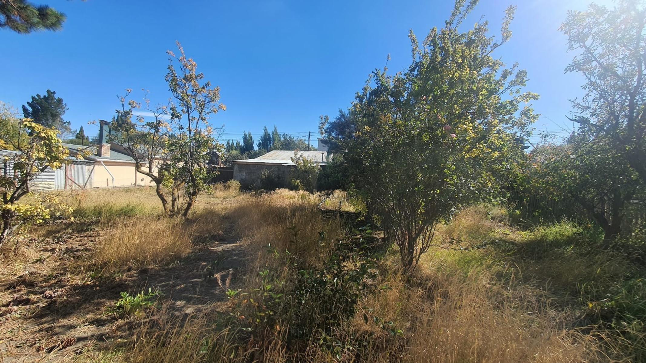 Coronel Rosales 312 · Lago Argentino — foto 4