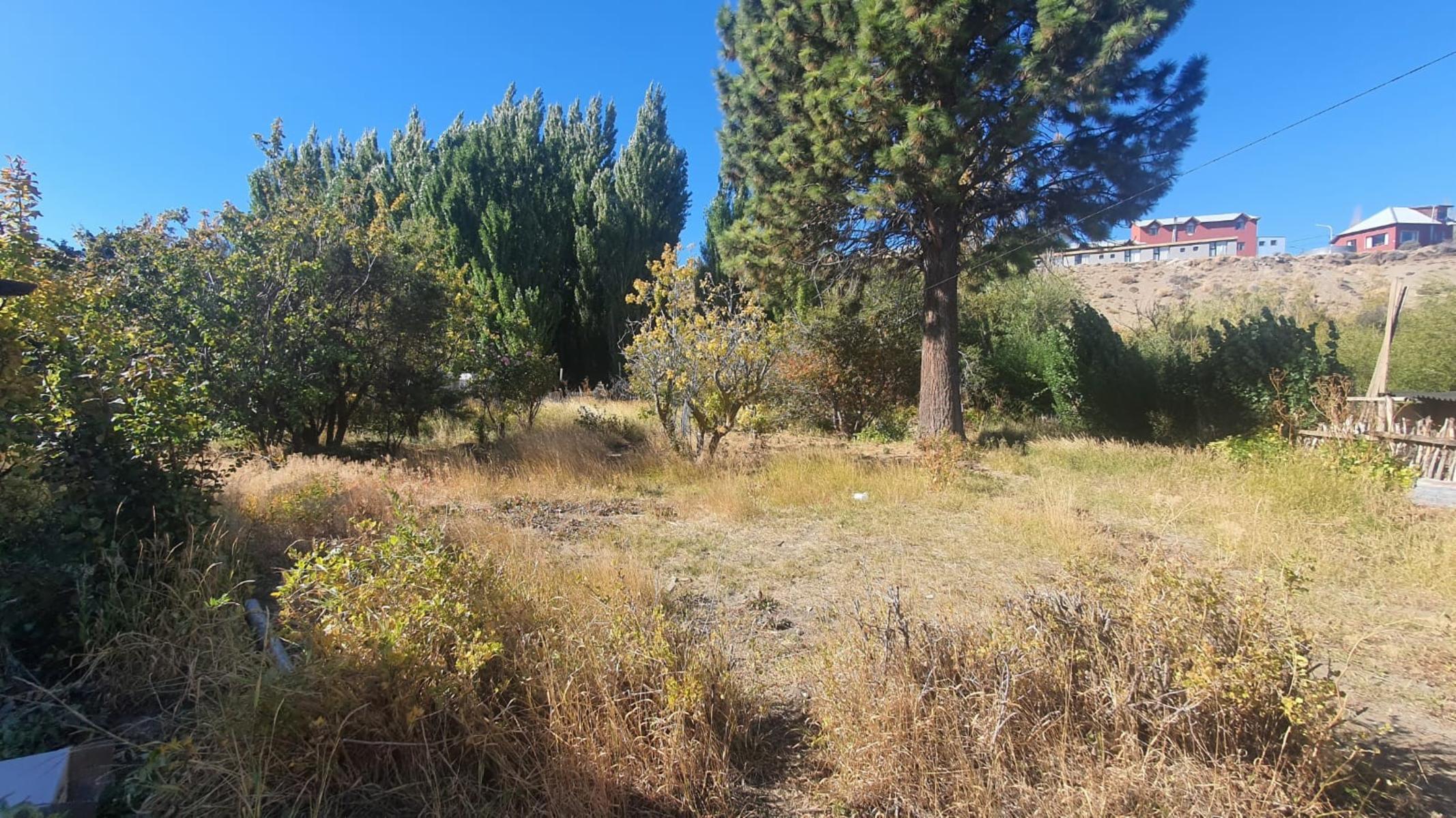 Coronel Rosales 312 · Lago Argentino — foto 7