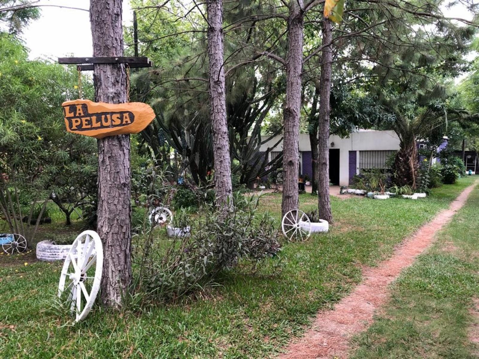 Hoffman · Colón — foto 5