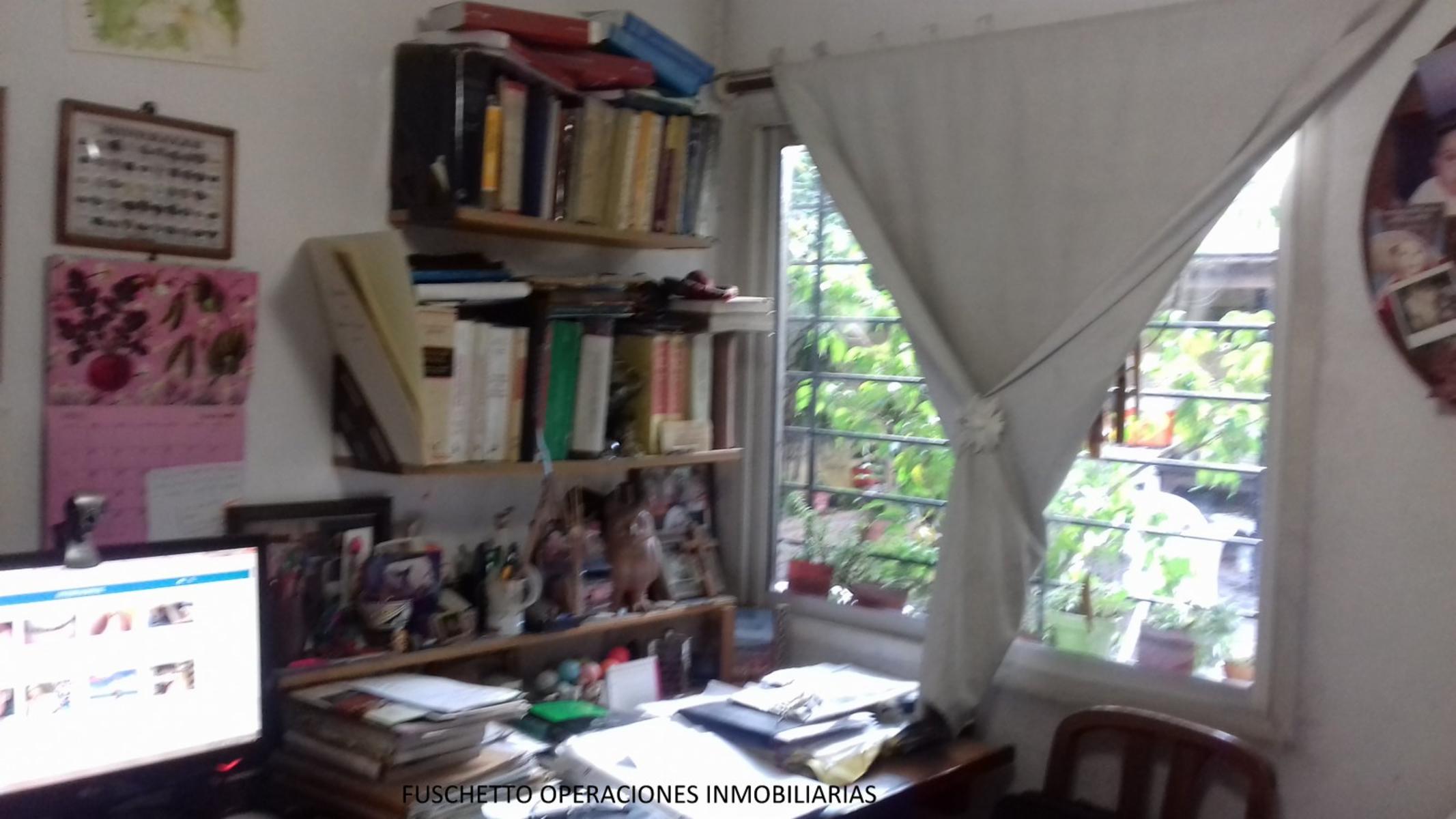 Campion 100 · La Matanza — foto 15