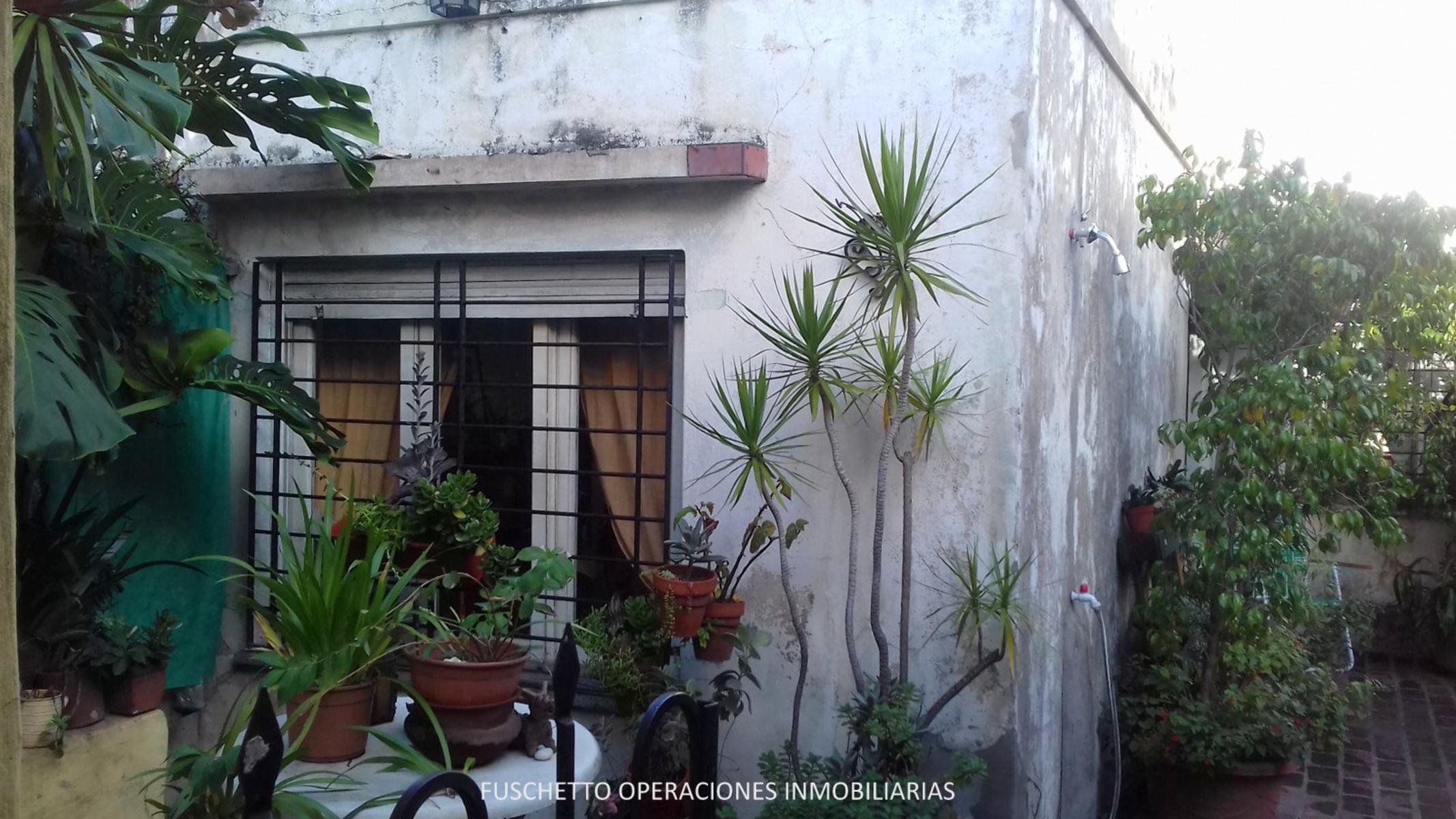 Campion 100 · La Matanza — foto 5