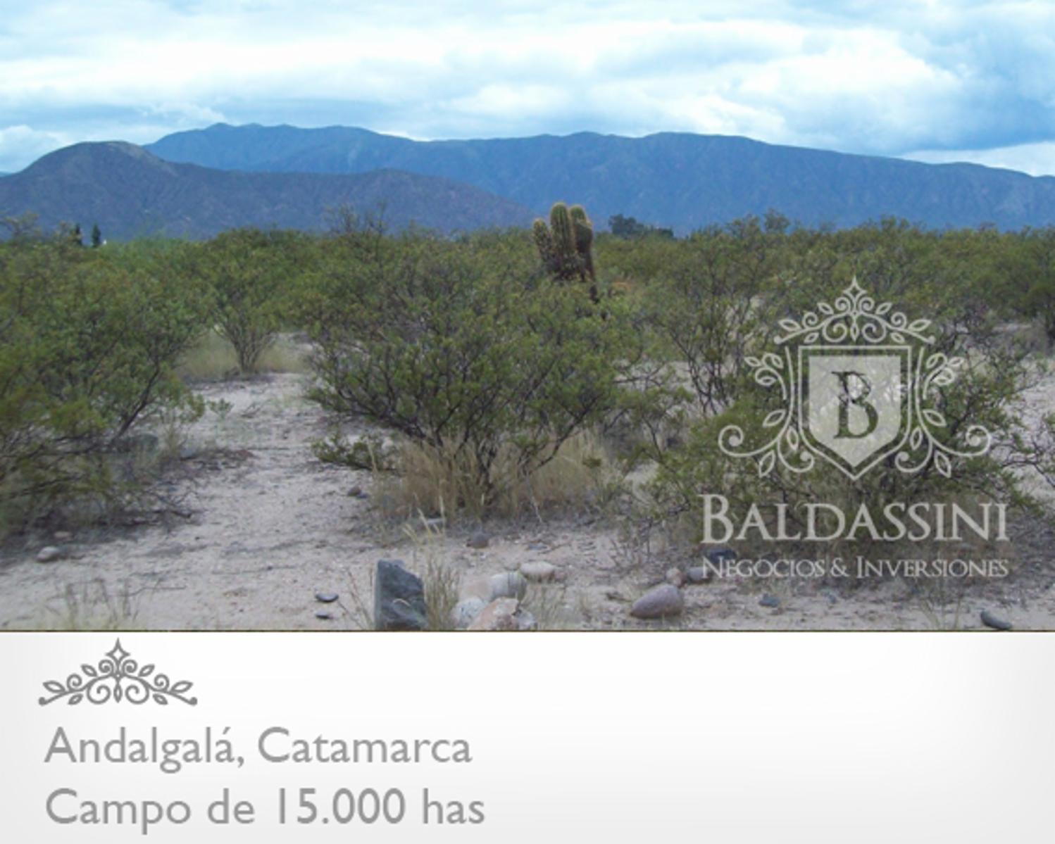 15000 has en Andalgalá cerca de la Ruta 46 · Andalgalá — foto 3