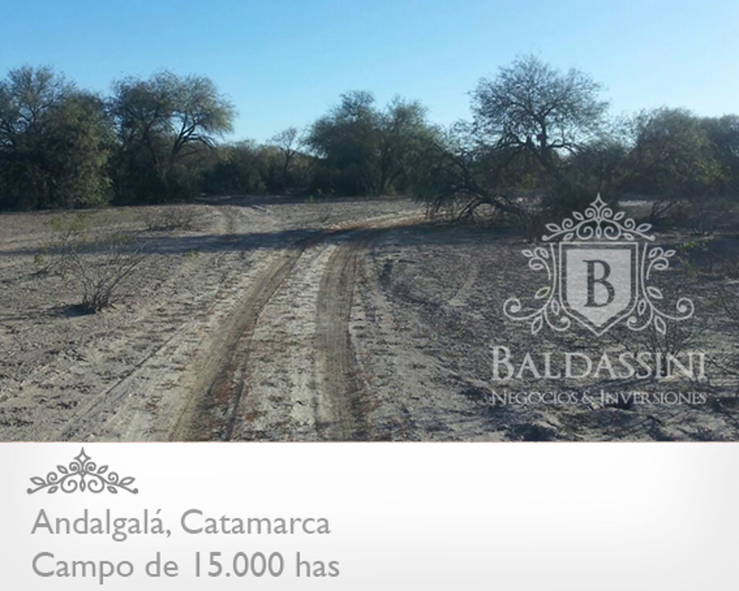 15000 has en Andalgalá cerca de la Ruta 46 · Andalgalá — foto 4