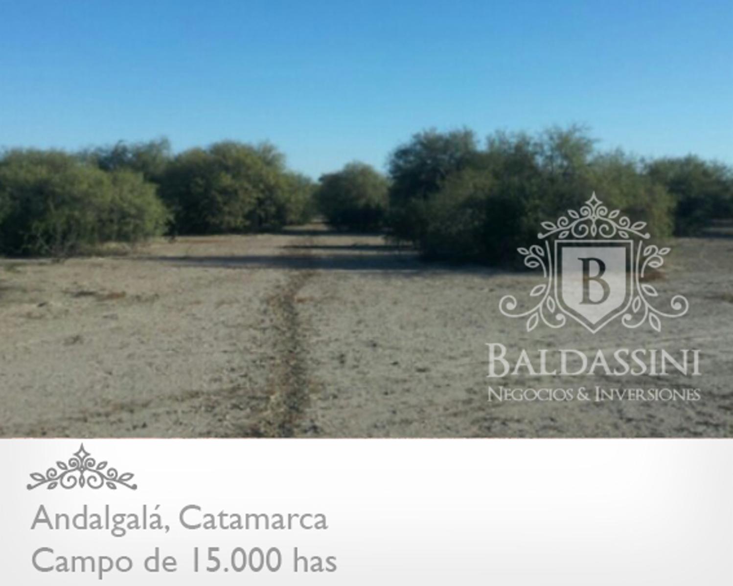 15000 has en Andalgalá cerca de la Ruta 46 · Andalgalá — foto 6