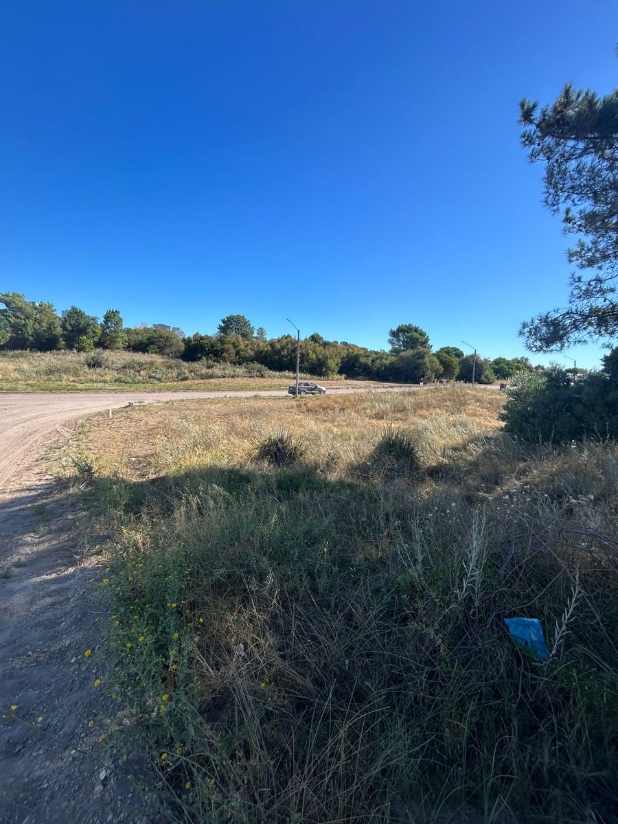 Terreno en Pinar del Golf, sobre avenidad principal