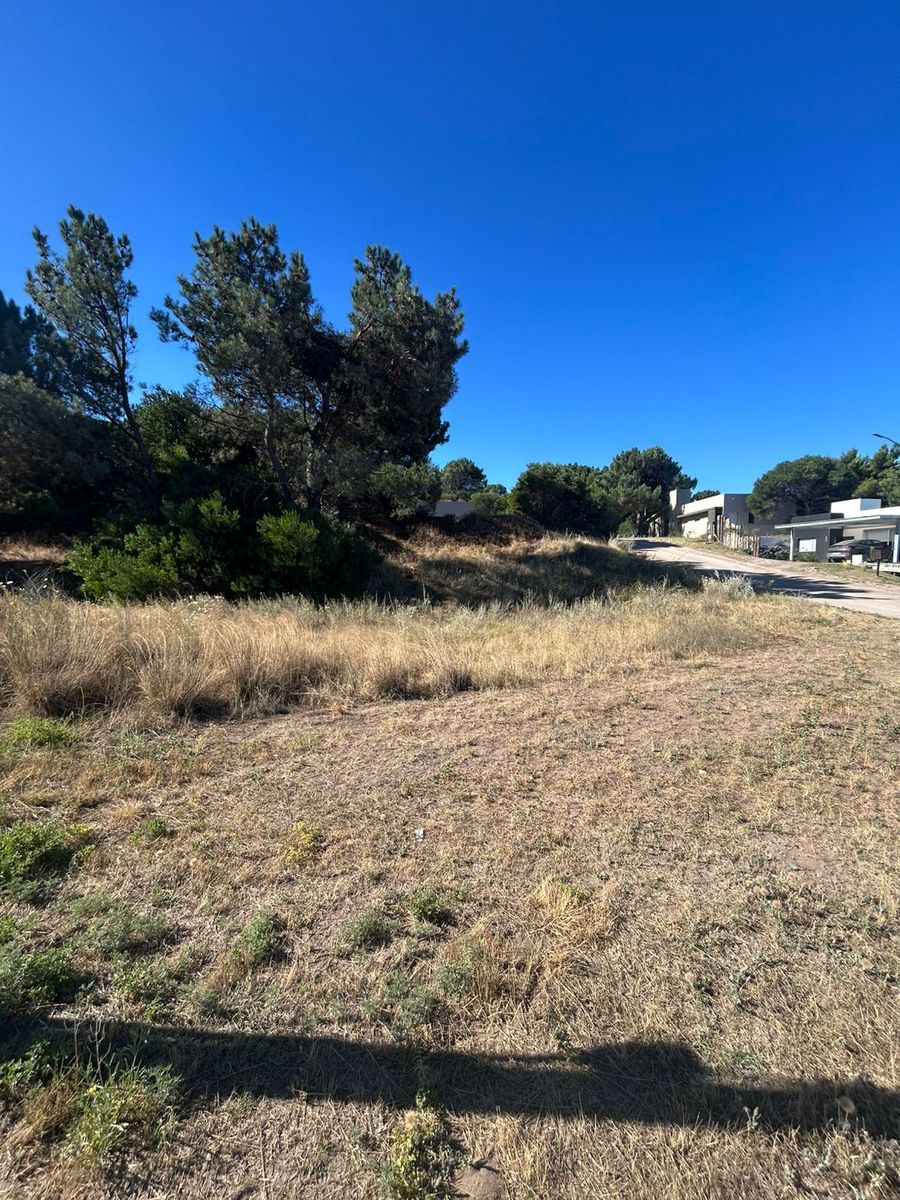 sansot 800 · Monte Hermoso — foto 5