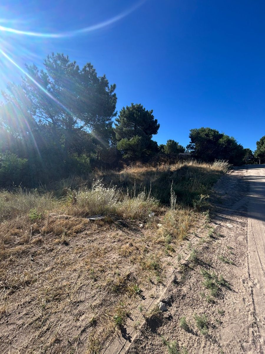 sansot 800 · Monte Hermoso — foto 8