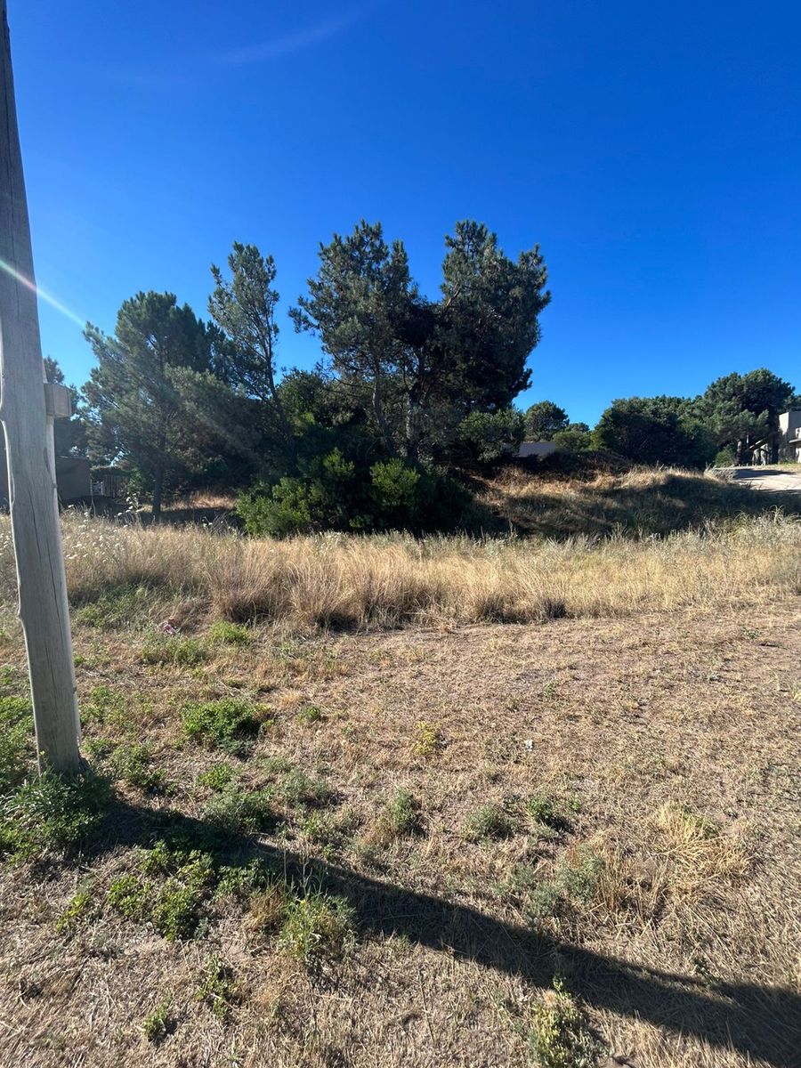 sansot 800 · Monte Hermoso — foto 9