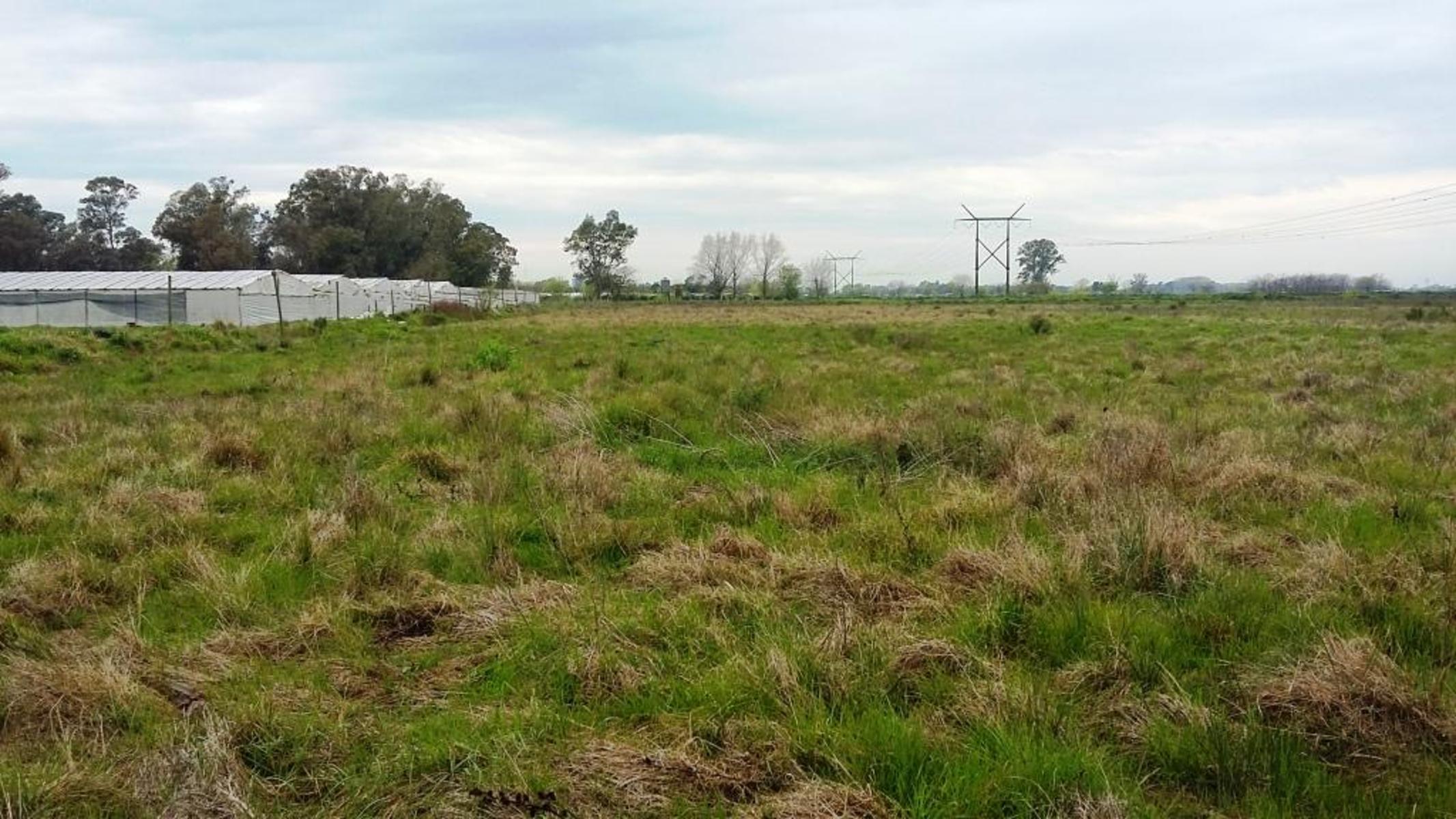 calle 409 sin número · La Plata — foto 3