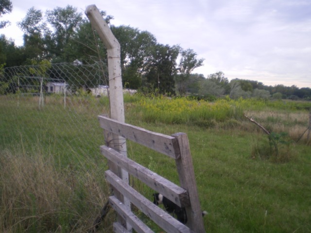 Tulissi · San Miguel — foto 3