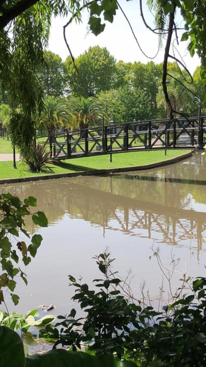 Rivadavia 725 · Tigre — foto 43