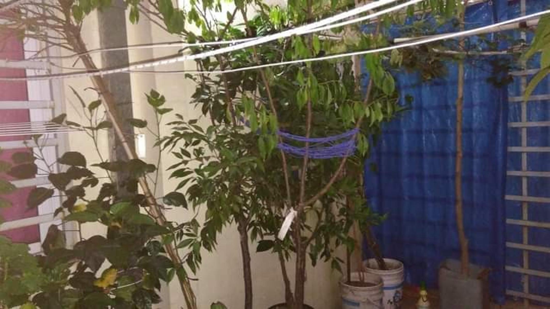 Venezuela 2946 · La Matanza — foto 30