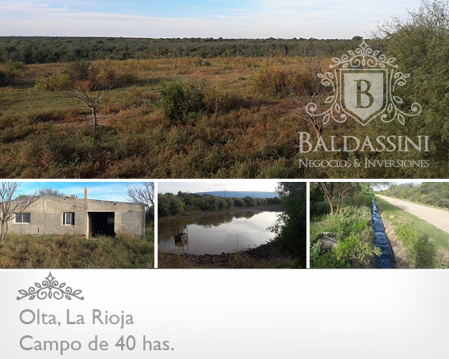 CAMPO DE 40 HAS EN OLTA SOBRE RUTA - LUZ TRIFÁSICA - ALAMBRADO