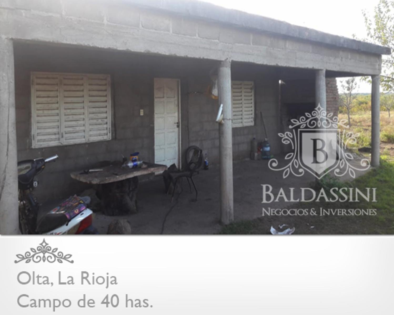 CAMPO DE 40 HAS EN OLTA SOBRE RUTA - LUZ TRIFÁSICA - ALAMBRADO · General Belgrano — foto 4