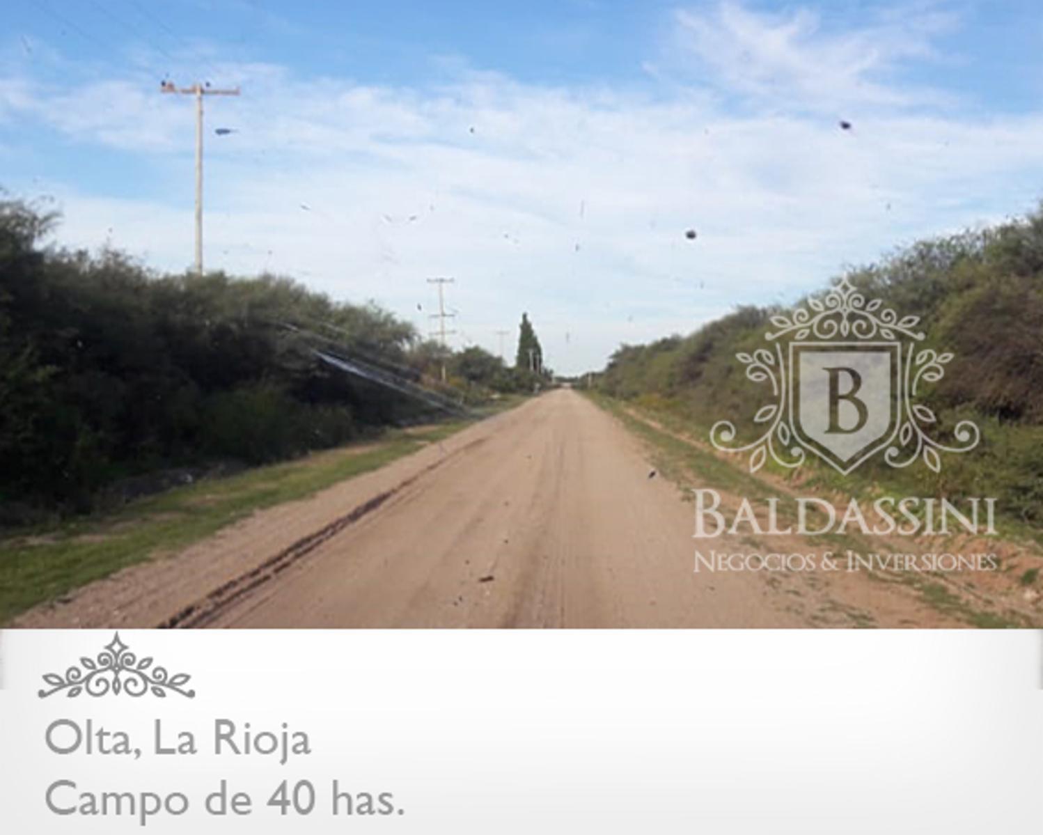 CAMPO DE 40 HAS EN OLTA SOBRE RUTA - LUZ TRIFÁSICA - ALAMBRADO · General Belgrano — foto 6
