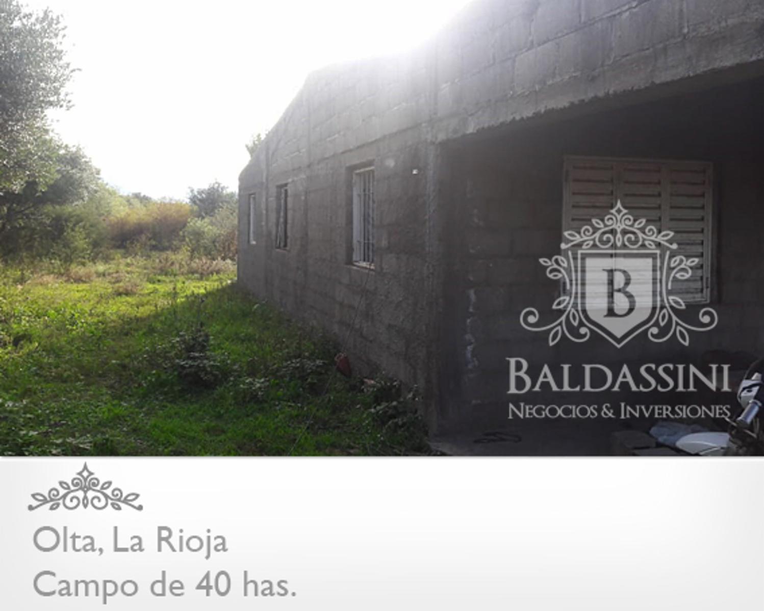 CAMPO DE 40 HAS EN OLTA SOBRE RUTA - LUZ TRIFÁSICA - ALAMBRADO · General Belgrano — foto 7