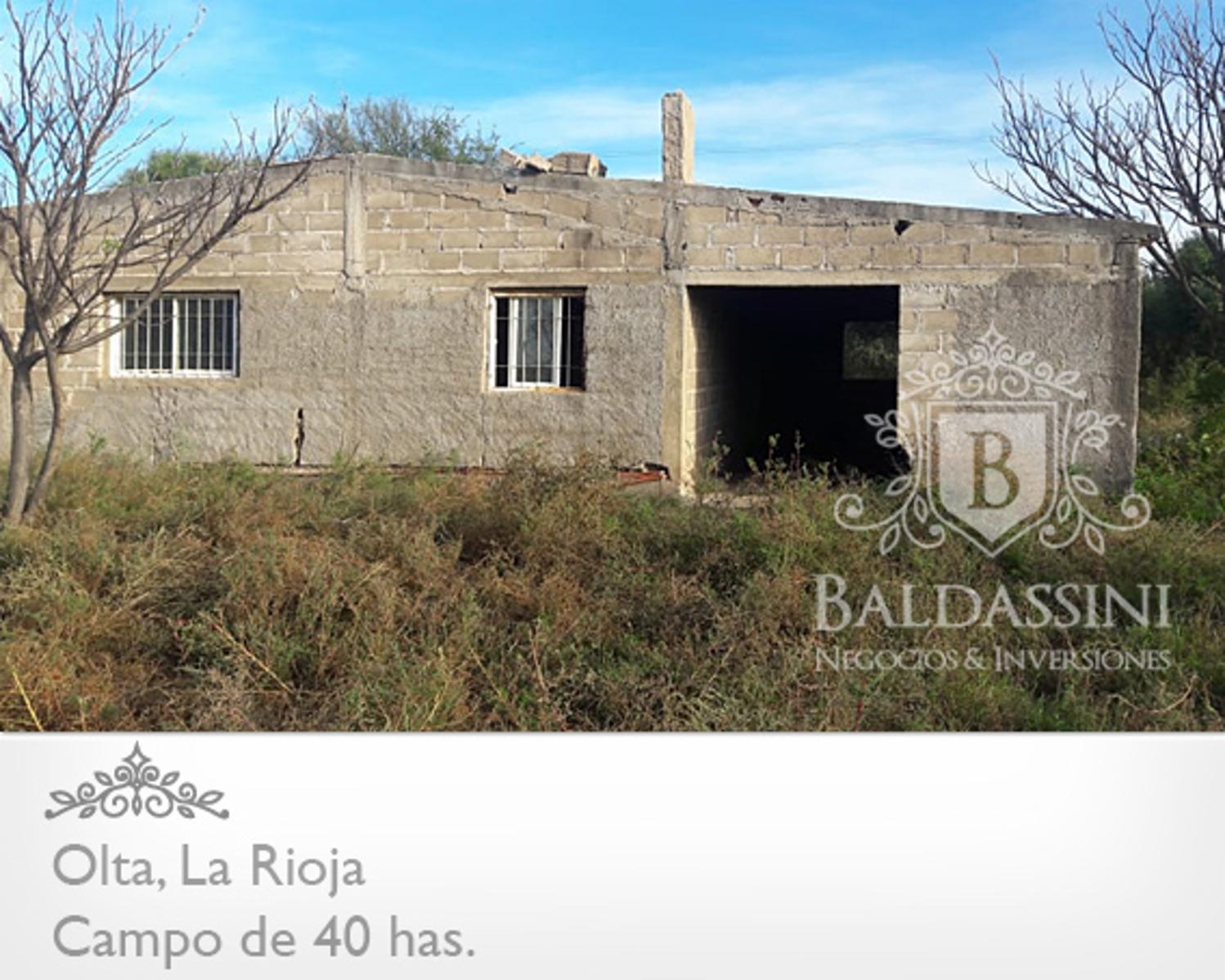 CAMPO DE 40 HAS EN OLTA SOBRE RUTA - LUZ TRIFÁSICA - ALAMBRADO · General Belgrano — foto 8