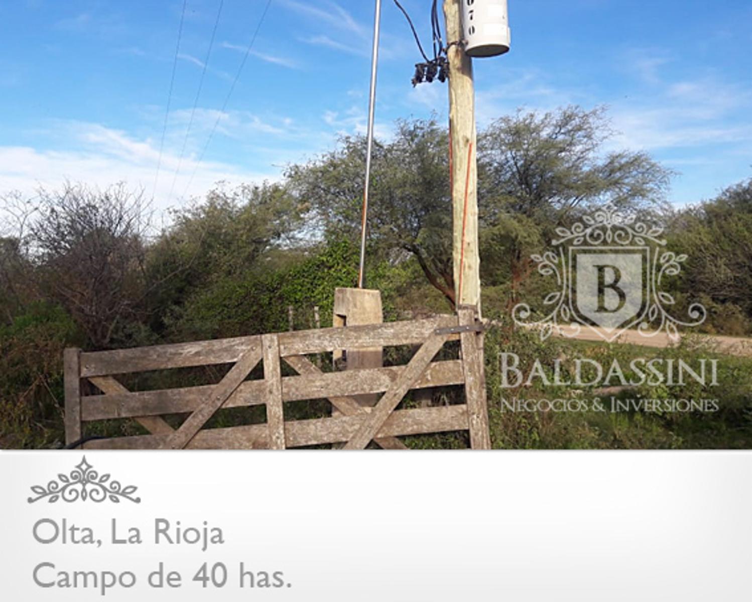 CAMPO DE 40 HAS EN OLTA SOBRE RUTA - LUZ TRIFÁSICA - ALAMBRADO · General Belgrano — foto 10