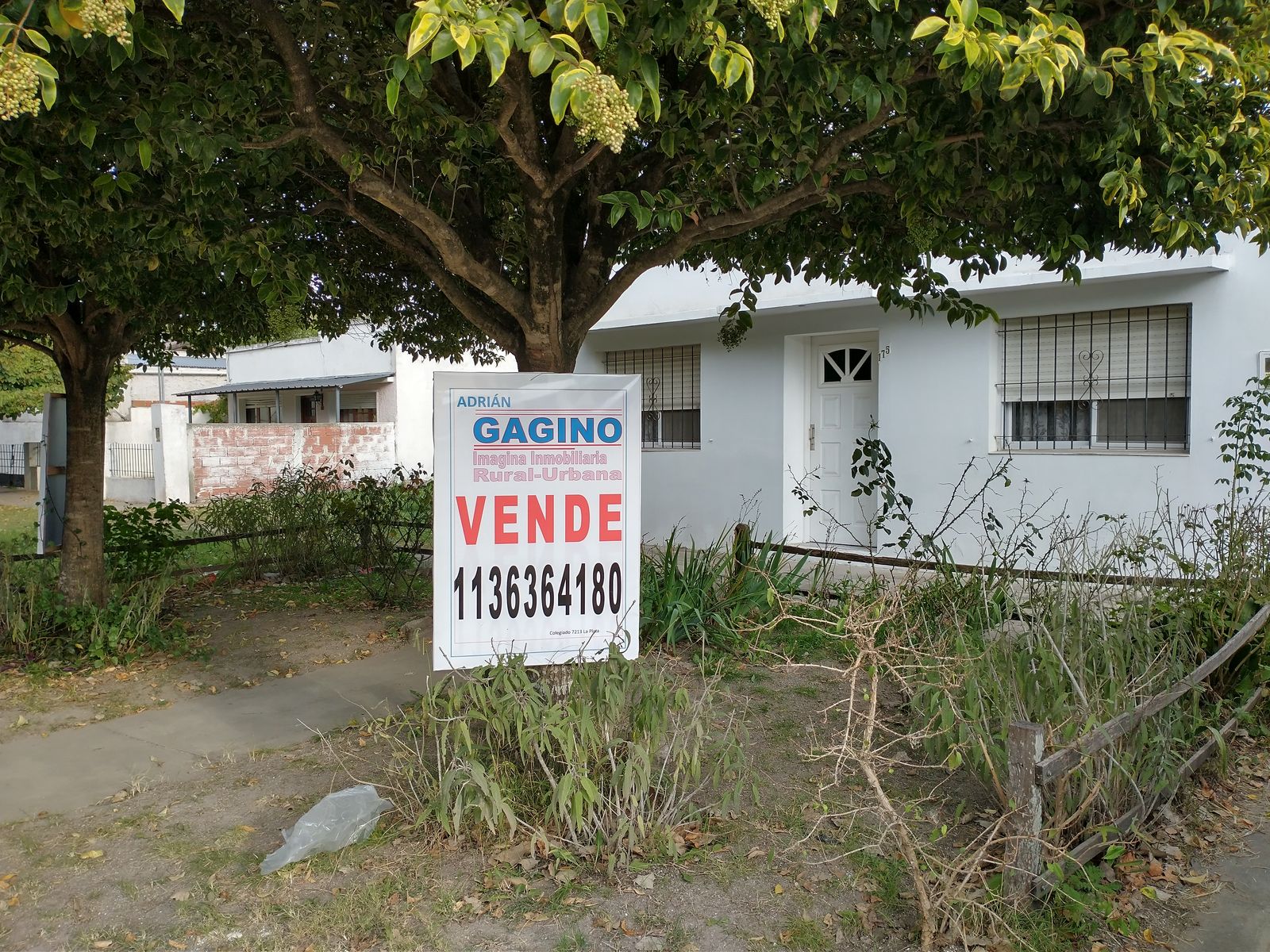 Diagonal 60 · Punta Indio — foto 4