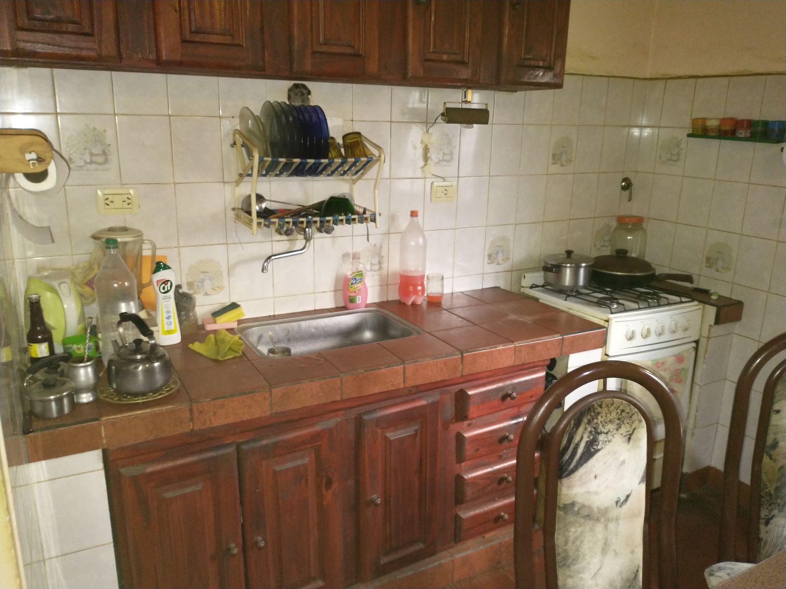 Diagonal 60 · Punta Indio — foto 6
