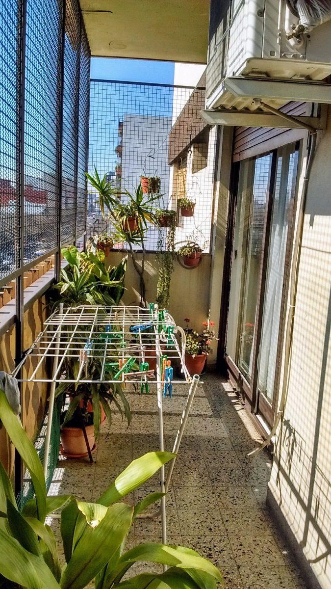 DOLORES 0 · Floresta — foto 4