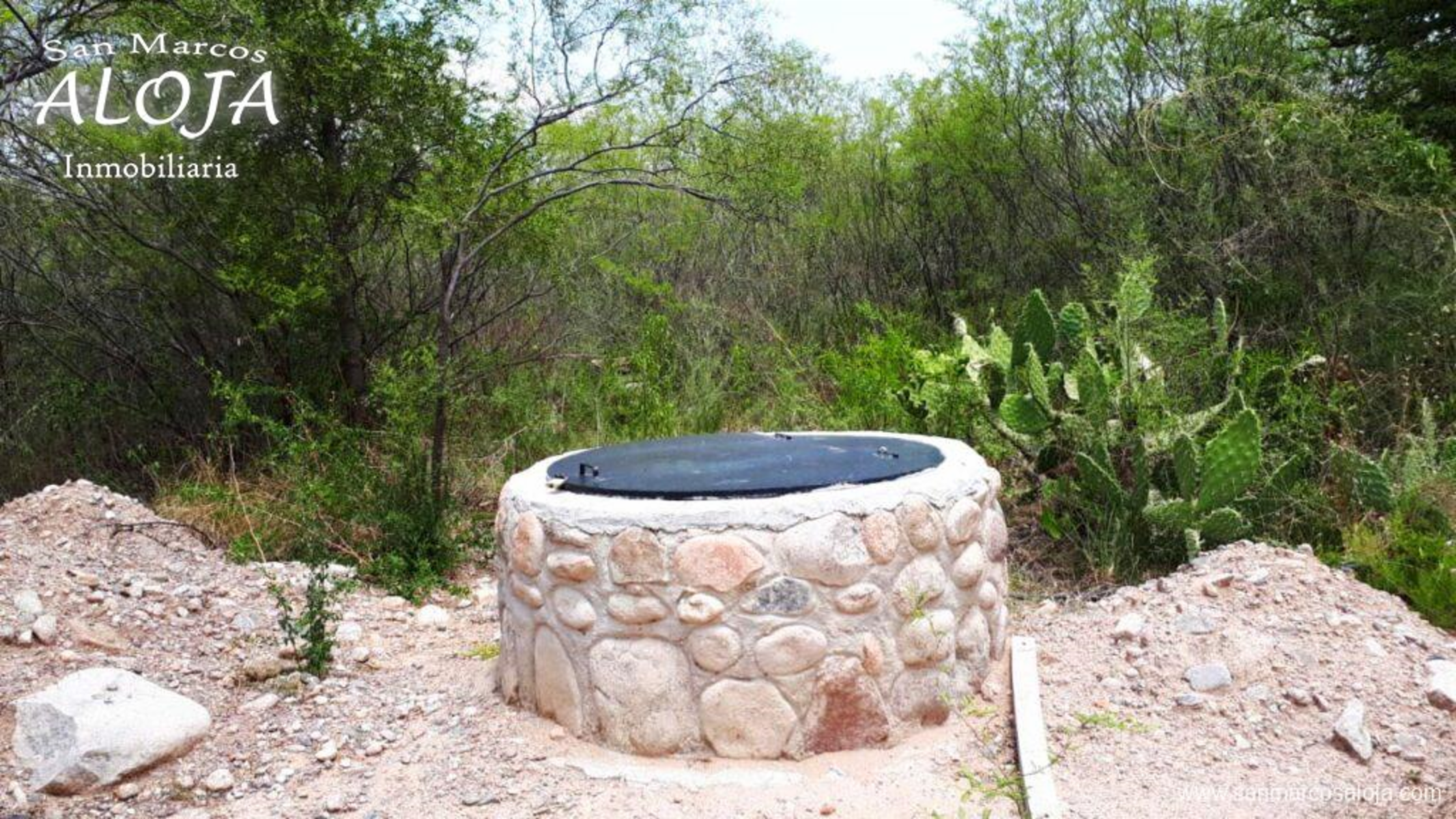 RUTA 38 · Cruz del Eje — foto 17