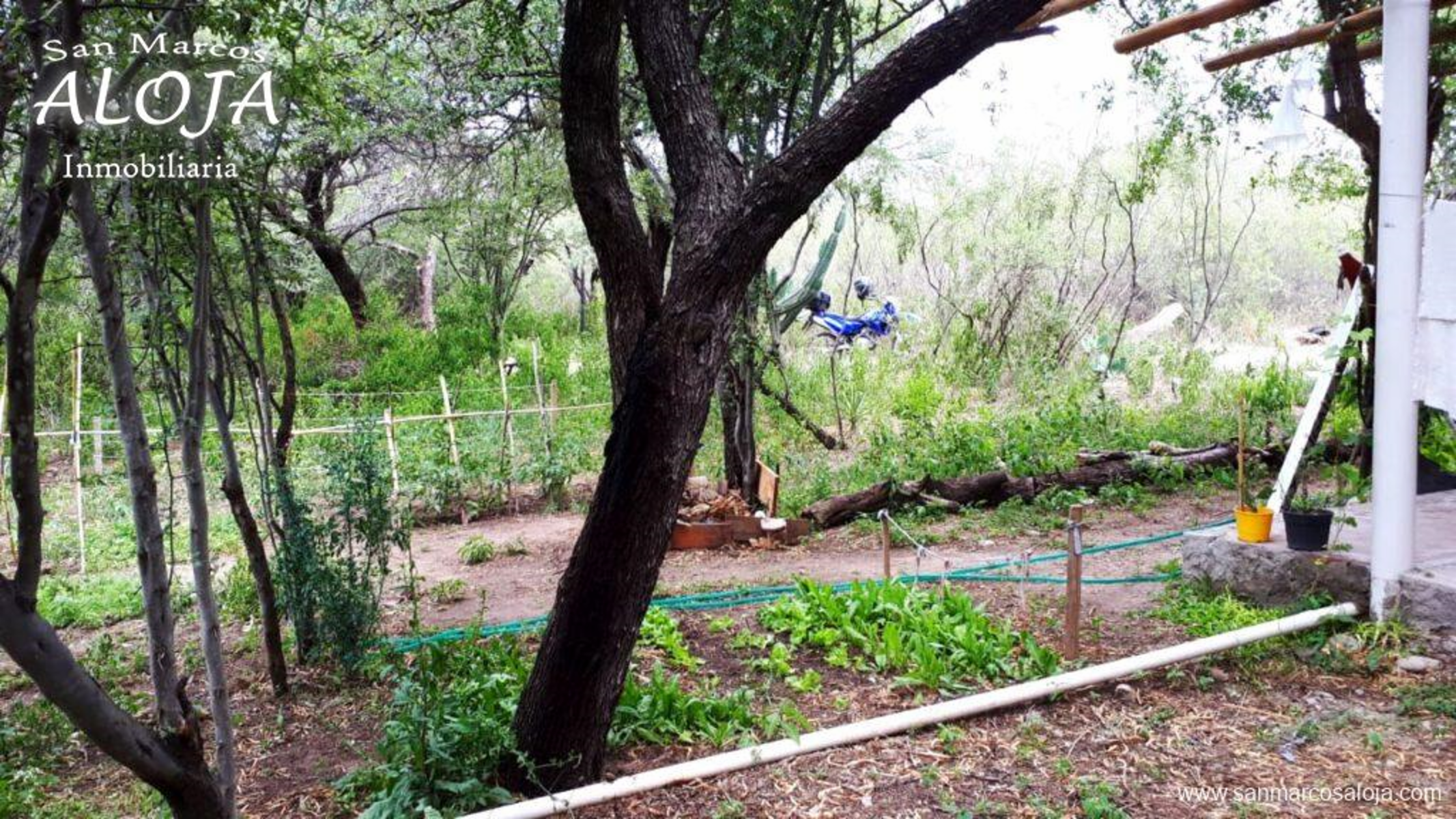 RUTA 38 · Cruz del Eje — foto 19