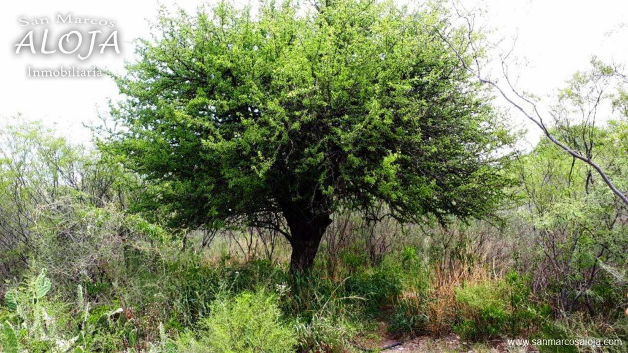 RUTA 38 · Cruz del Eje — foto 20