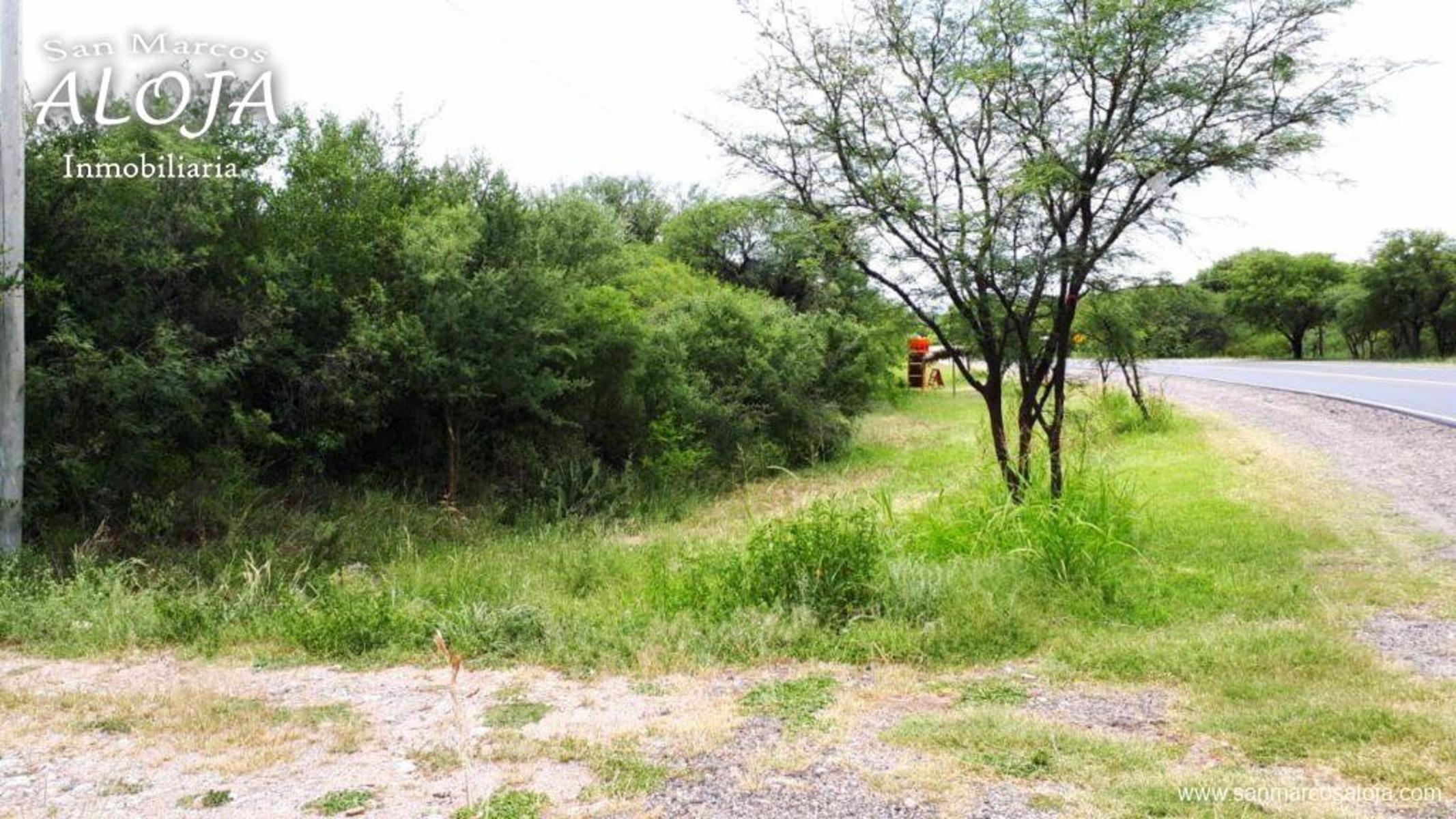 RUTA 38 · Cruz del Eje — foto 21