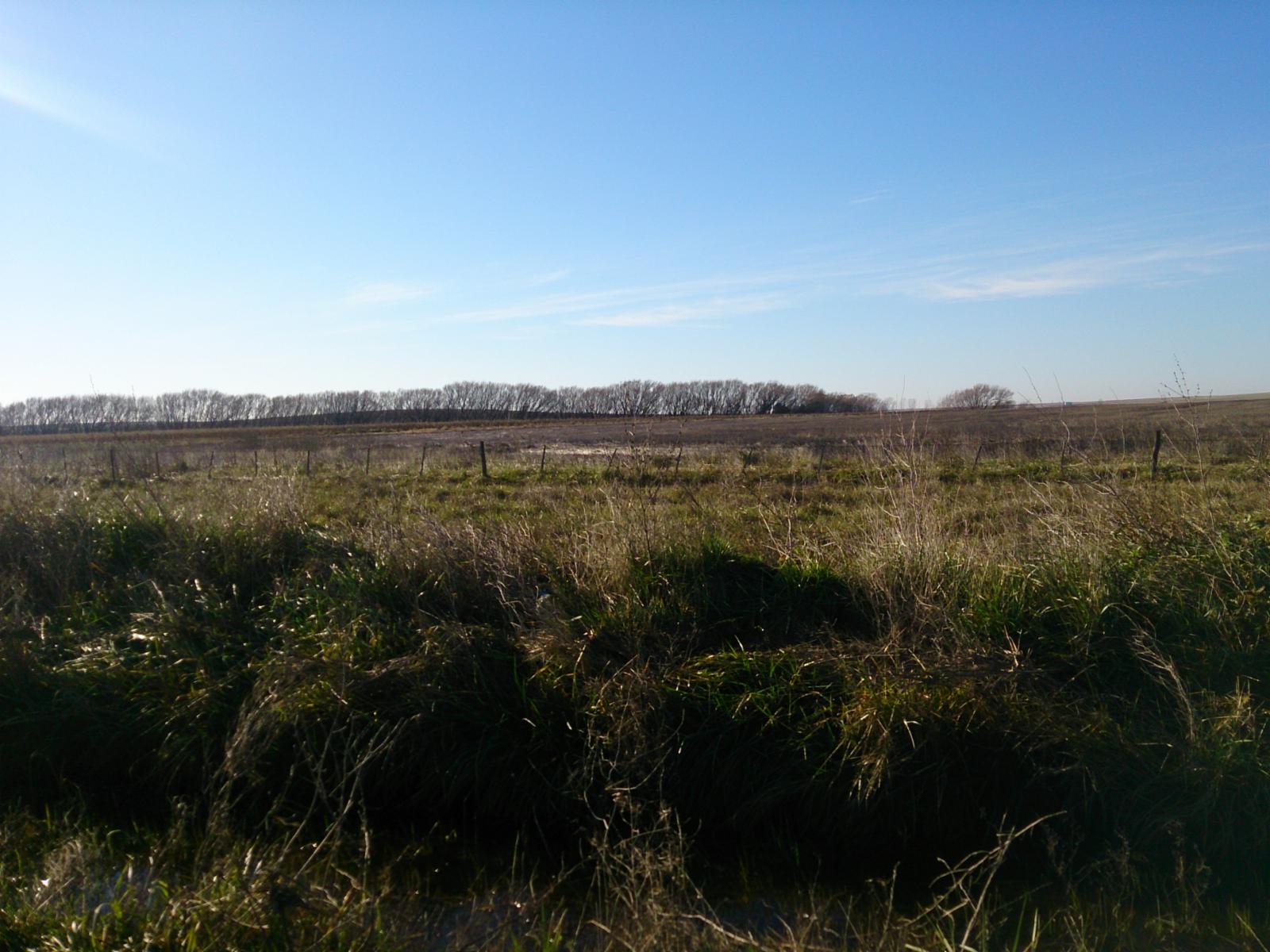 RUTA 3 KM 339 · Azul — foto 4