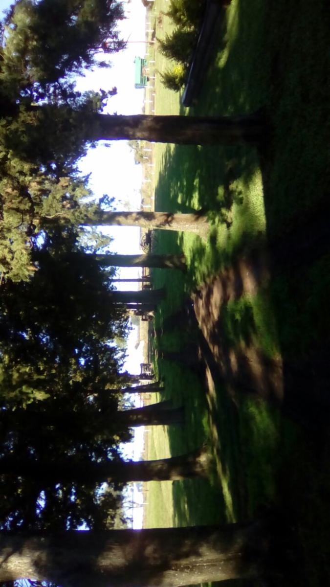 Camino Consorcio y Ruta 18 · Villaguay — foto 3