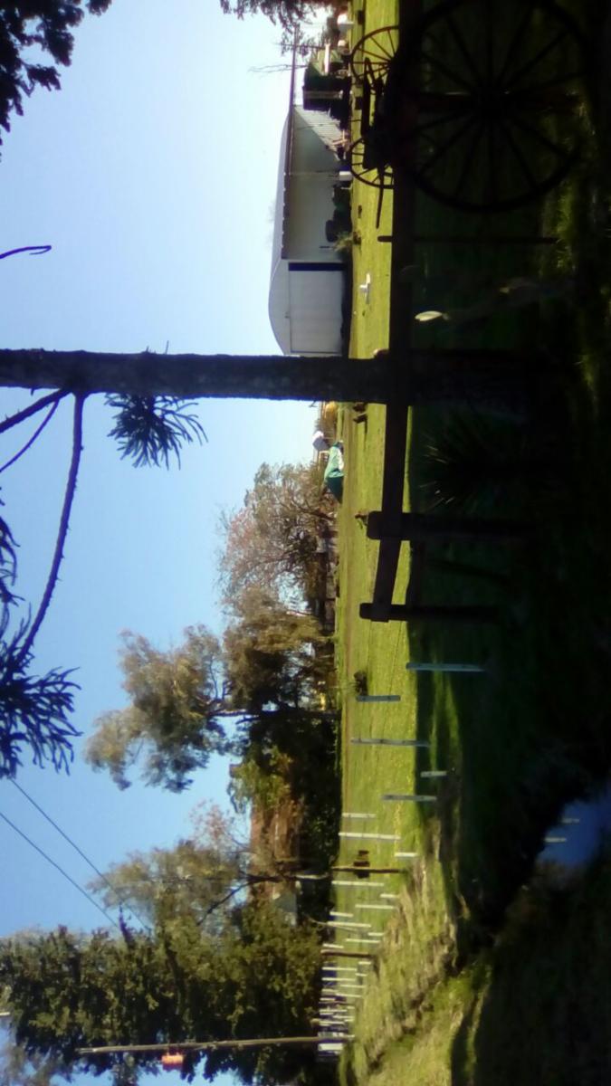 Camino Consorcio y Ruta 18 · Villaguay — foto 4
