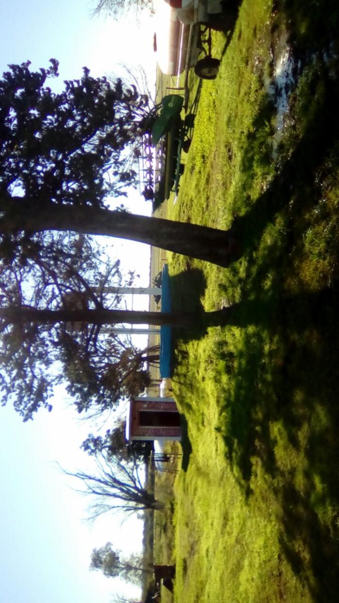 Camino Consorcio y Ruta 18 · Villaguay — foto 6