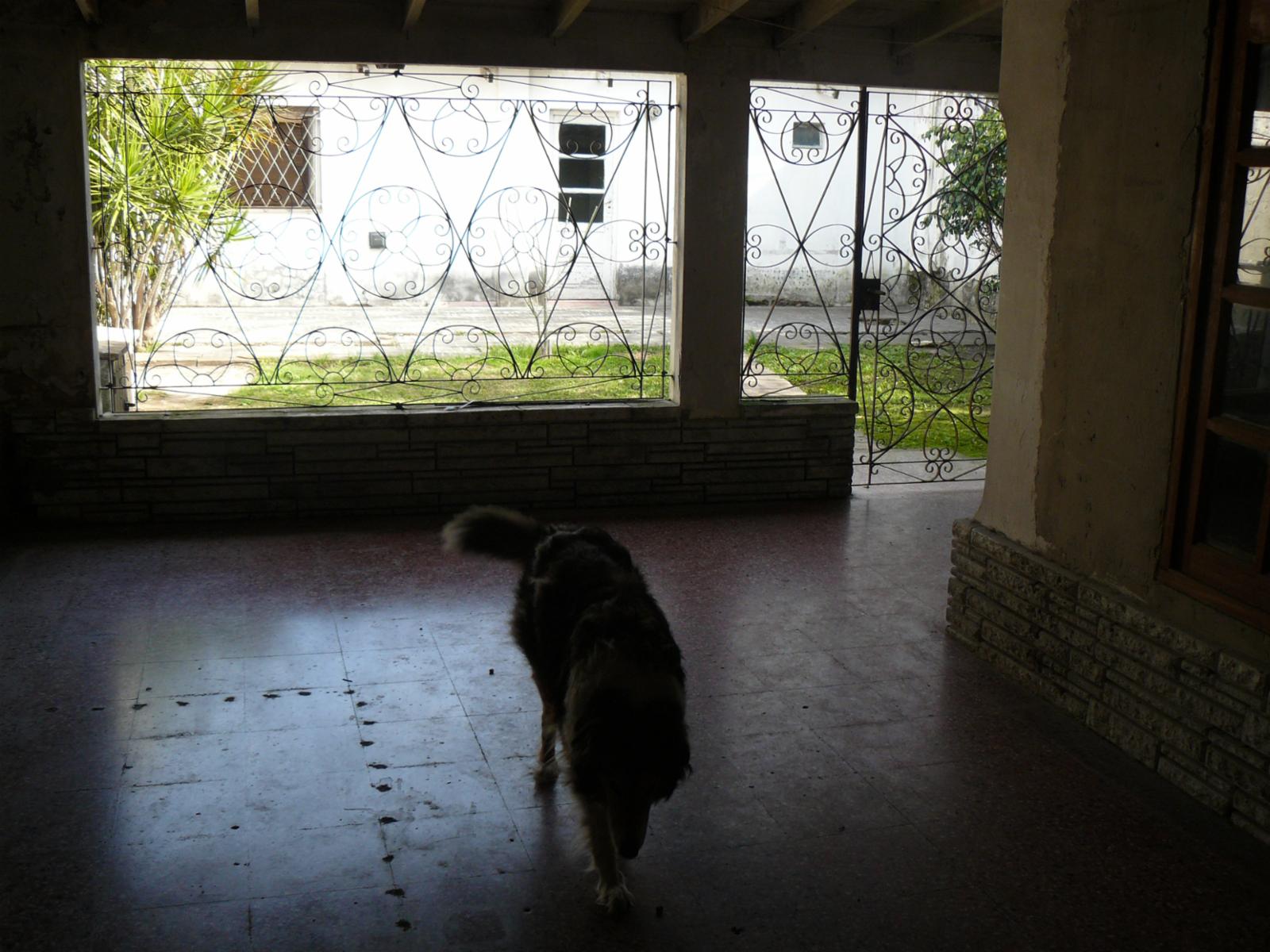 Medina 400 · Ituzaingó — foto 5