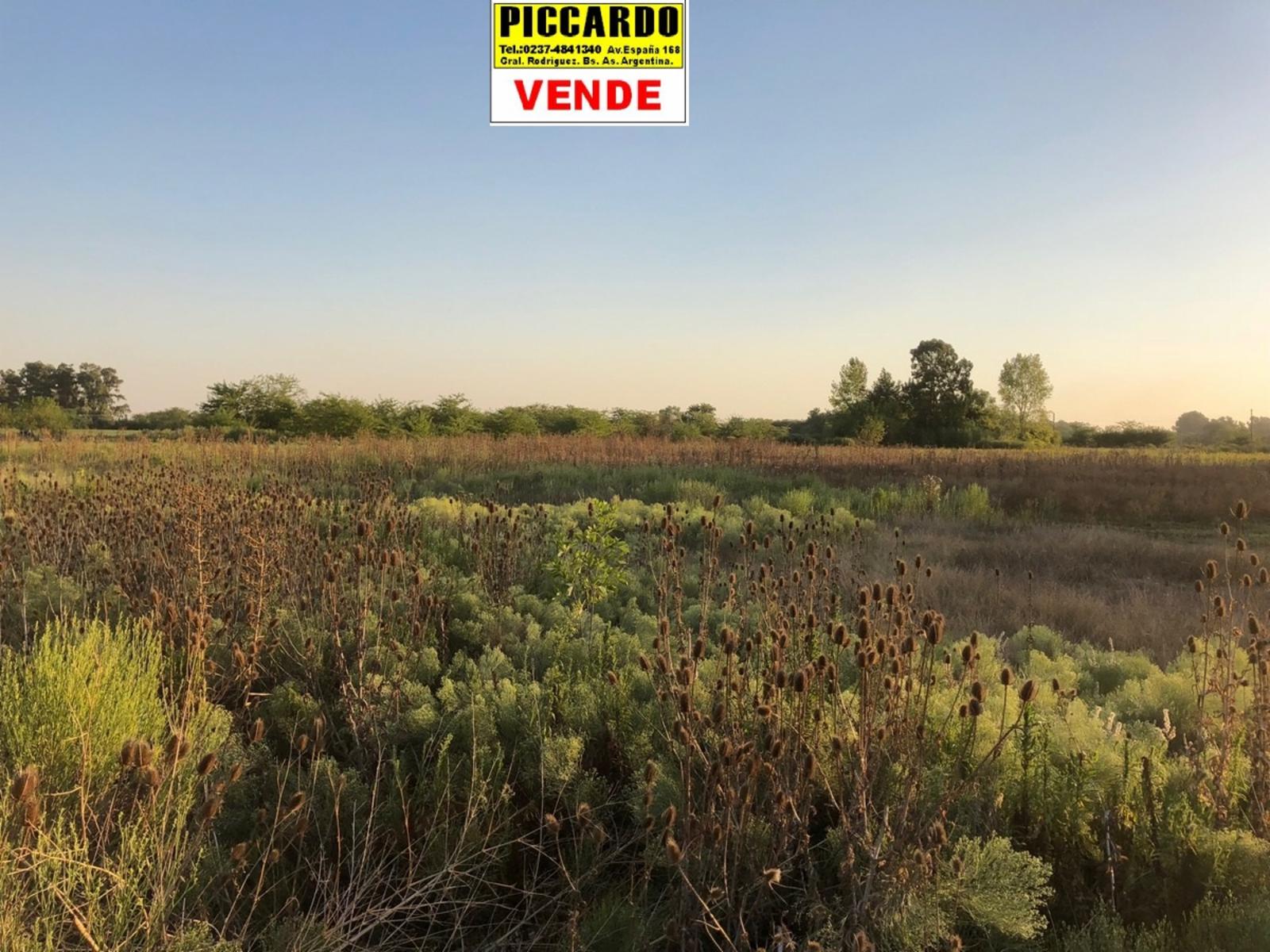 DOS LOTES TERRENOS EN VENTA Bº VILLA ITA REF. 1384 GRAL. RODRÍGUEZ PICCARDO
