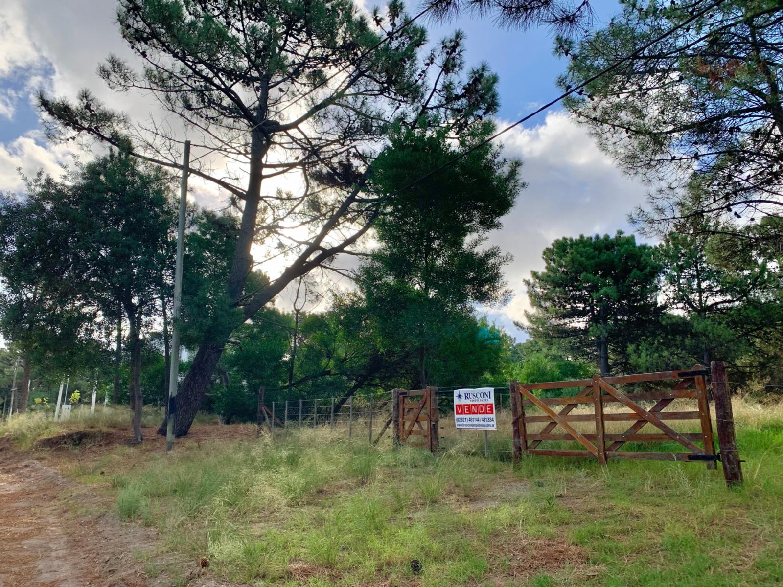 Del Pejerrey entre Los Delfines y del Tiburon · Monte Hermoso — foto 5