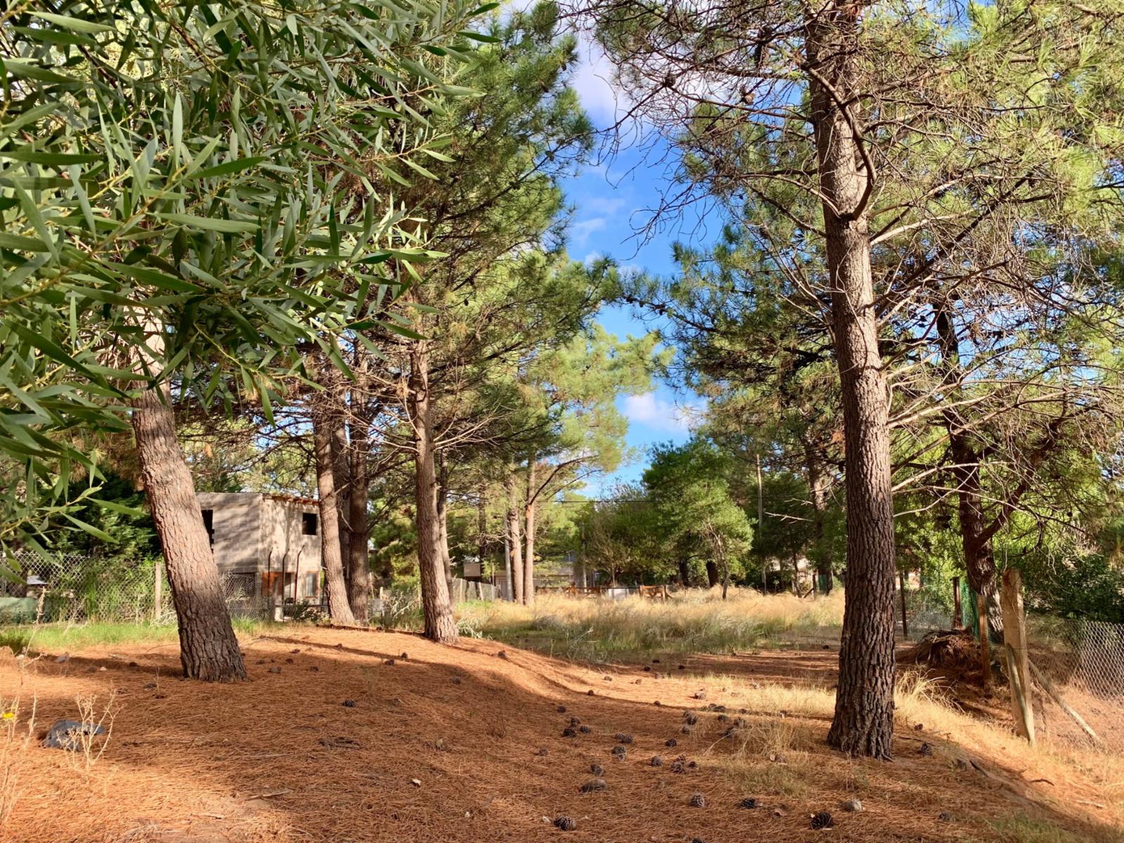 Del Pejerrey entre Los Delfines y del Tiburon · Monte Hermoso — foto 6