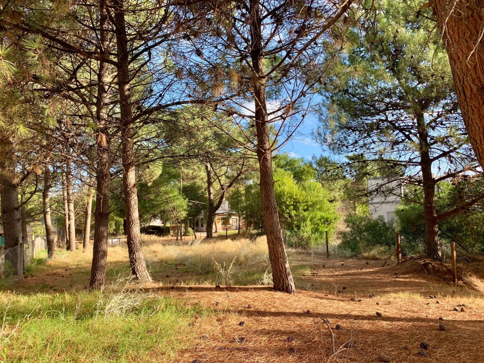 Del Pejerrey entre Los Delfines y del Tiburon · Monte Hermoso — foto 7