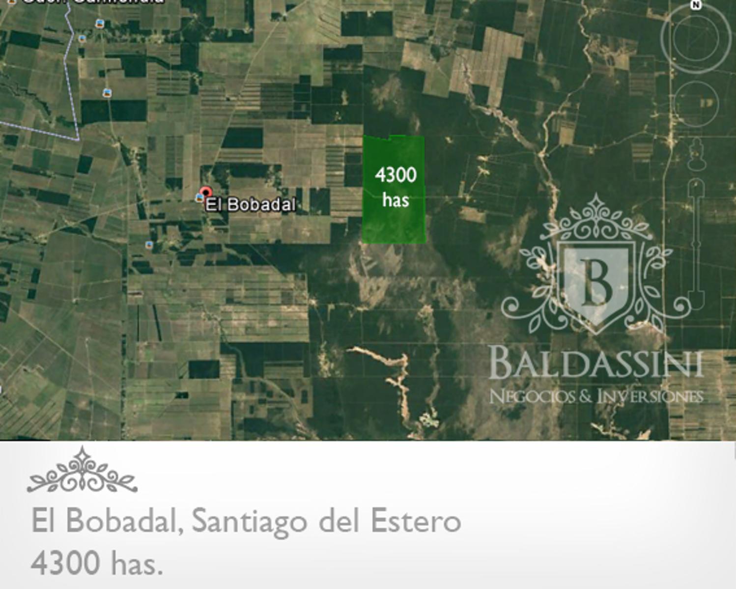 4300 HAS. EN EL BOBADAL. SANTIAGO DEL ESTERO. CAMPO ALAMBRADO. ESCRITURA.