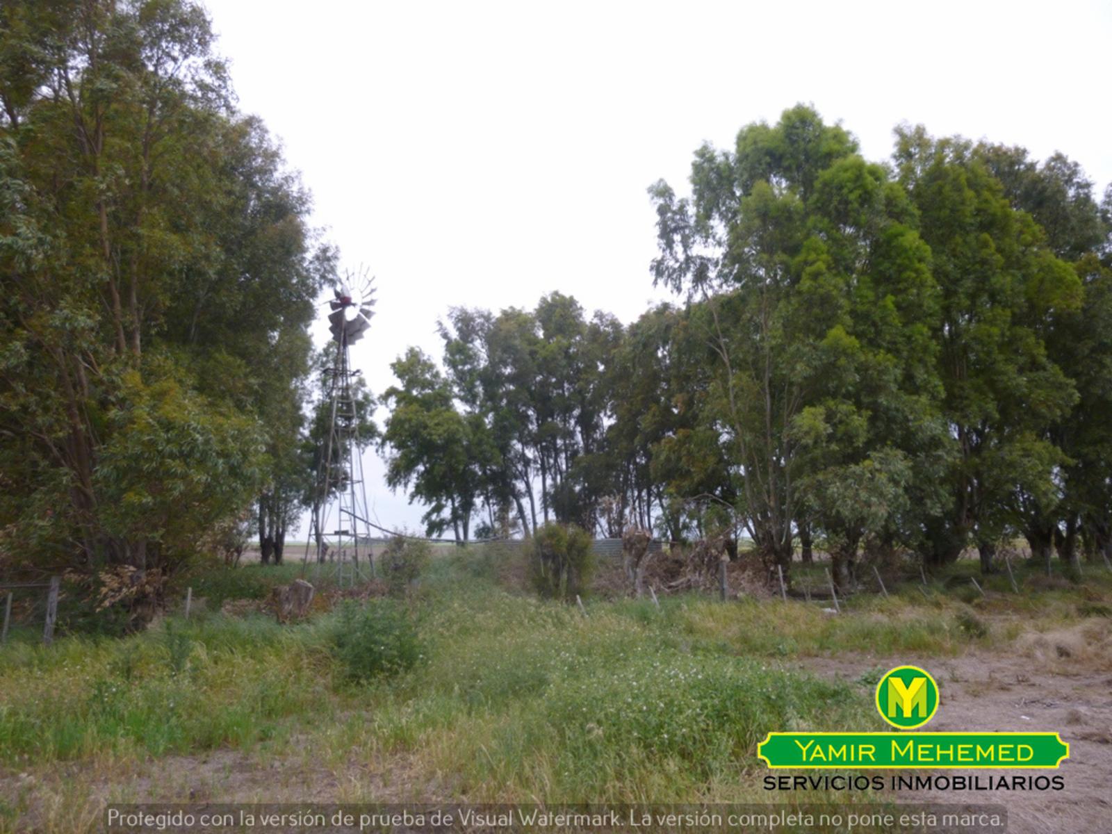CORONEL DORREGO · Coronel Dorrego — foto 3